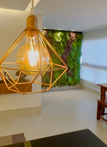 Kokedamas Decorativas